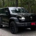 002_GWM TANK 300 DIESEL 2WD Pro