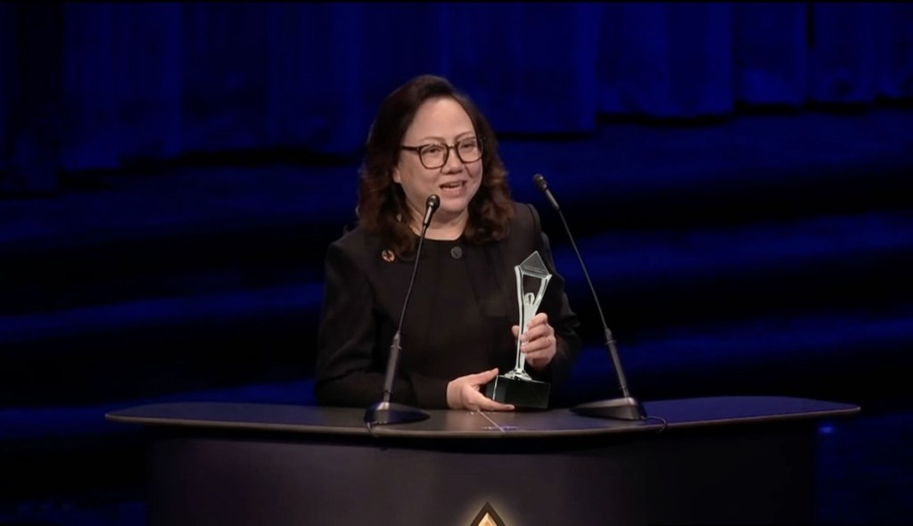 AIS The Stevie Awards 2025