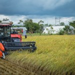 Agri-Robo Combine Harvestor รถเกี่ยวนวดข้าว1