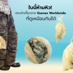 ใบนี้ห้ามหิว! กระเป๋าเกี๊ยวจาก Esenes Worldwide ที่ดูเหมือนกินได้ - 1