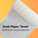 Scott Paper Towel
