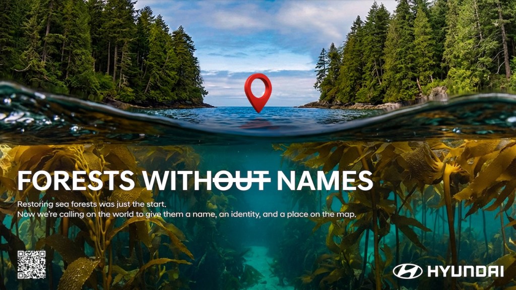 Forests Without Names