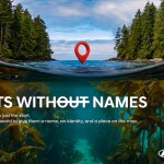 Forests Without Names