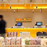 MR. D.I.Y.