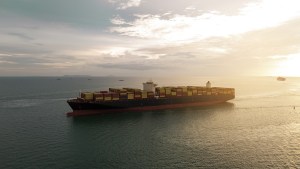 Flash Export May 2026