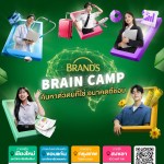 BRAND'S BRAIN CAMP 2026
