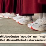 PUMA  - 1