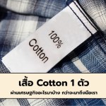 Cotton - 1