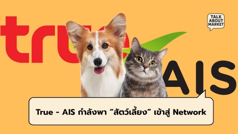 True - AIS pet - 1
